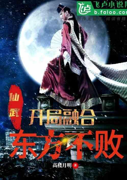 火影之神偷系统文轩宇