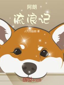 阿宝流浪记
