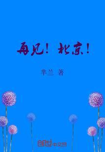 再见啦北京