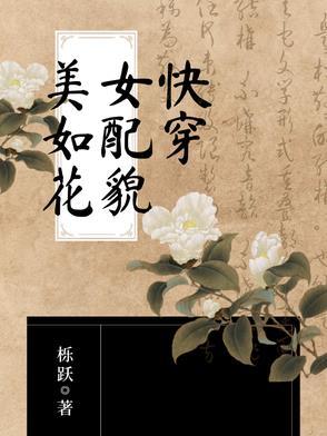 快穿之女配美如画多