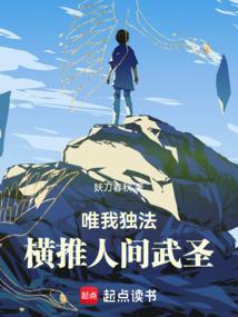 唯我纵横前面是什么