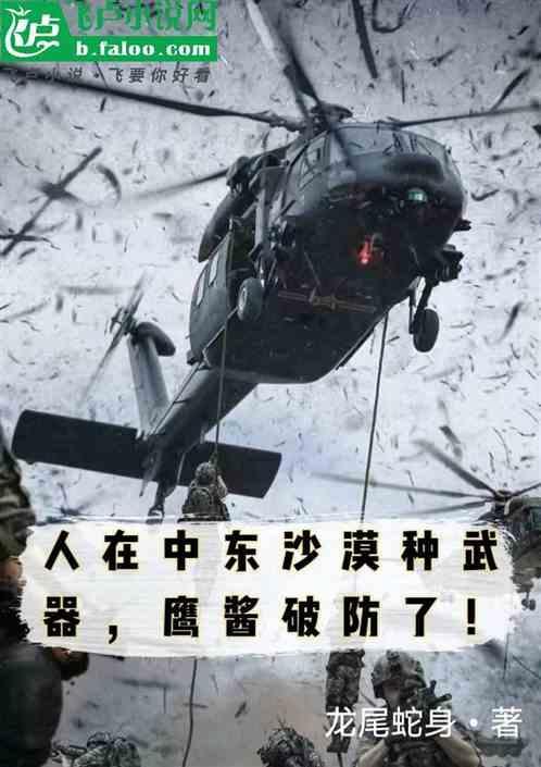 中东土豪鹰隼