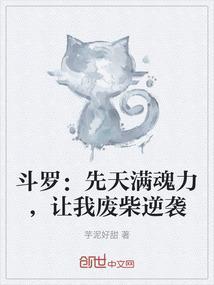 斗罗之先天魂力半级