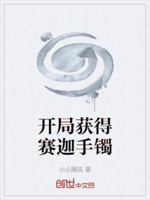开局获得赛迦手镯的