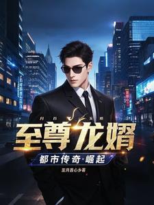 免费阅读至尊龙婿