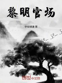 陈黎明视频