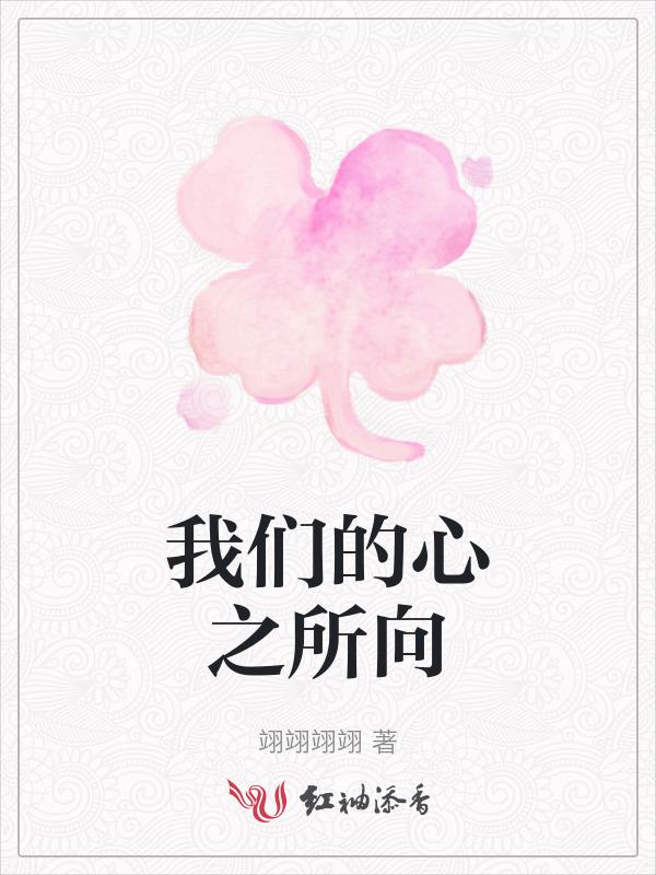 我的心之所向是什么意思