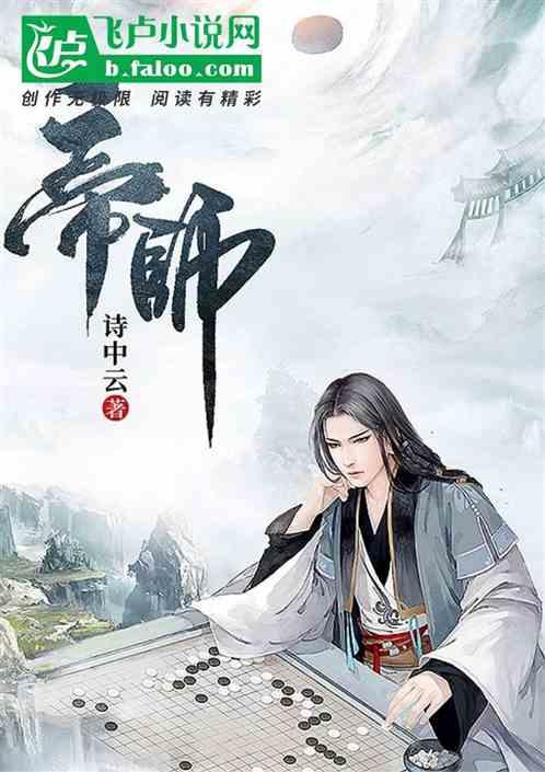 帝师王婿