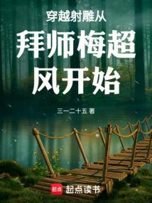 穿越到射雕的武侠