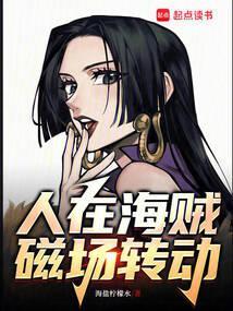 从海贼开始转动磁场 起点