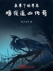 暗夜追凶