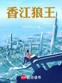 香港狼王吉他好吗