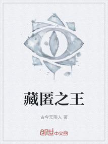 藏匿之泪副本怎么上去