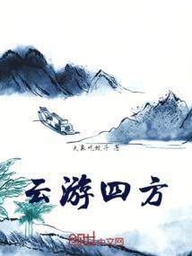 云游四方公司