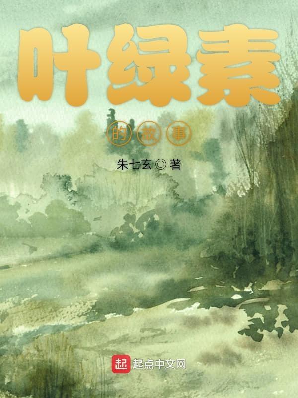 叶绿素的功能是什么