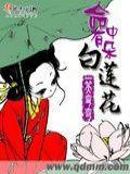 王妃是朵白莲花