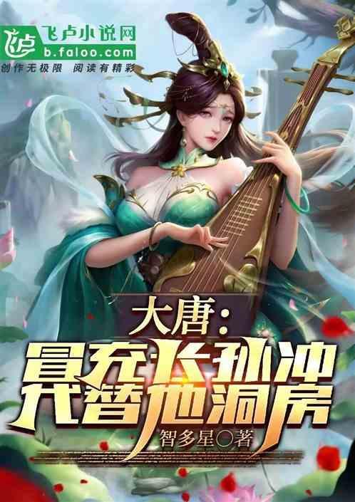 大唐之长孙冲驸马