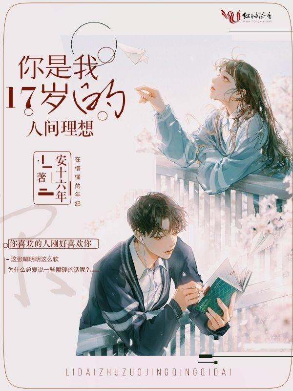 你是我17岁的人间理想是什么歌