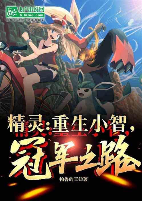 精灵重生小智冠军之路 帕鲁的王
