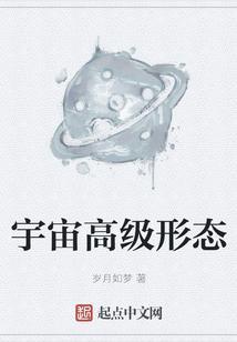 宇宙高级形态排行