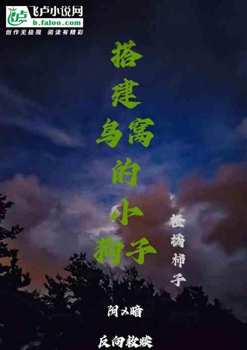 小鸟搭建鸟窝的过程