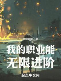 我的无限职业txt