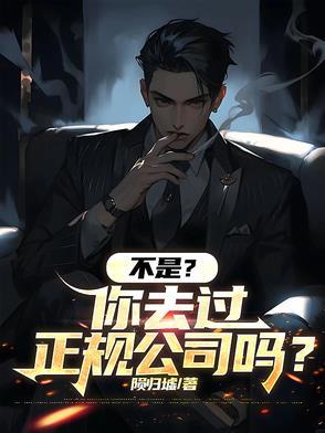 公司是不是正规的