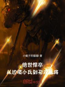 电影绝世悍匪