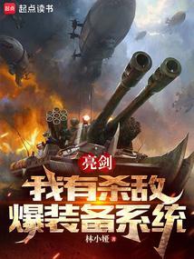 亮剑之杀敌爆装系统笔趣阁