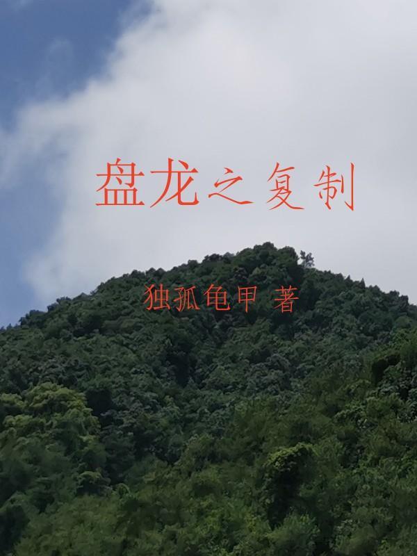 盘龙之最强辅助笔趣阁