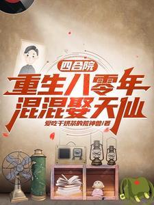 四合院从捡破烂到时代传奇九五网