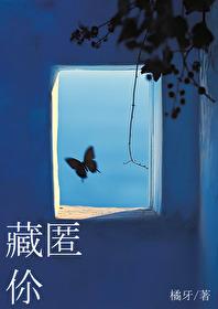 藏匿你txt