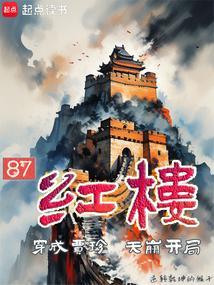红楼穿越成贾珠的