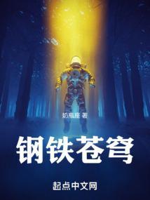 钢铁苍穹2在线观看完整版免费高清