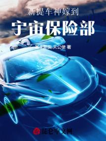 车神百科