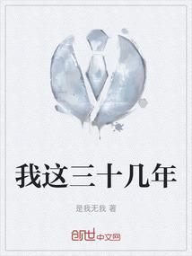 我这三十年回忆录免费阅读