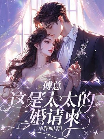 二婚总裁