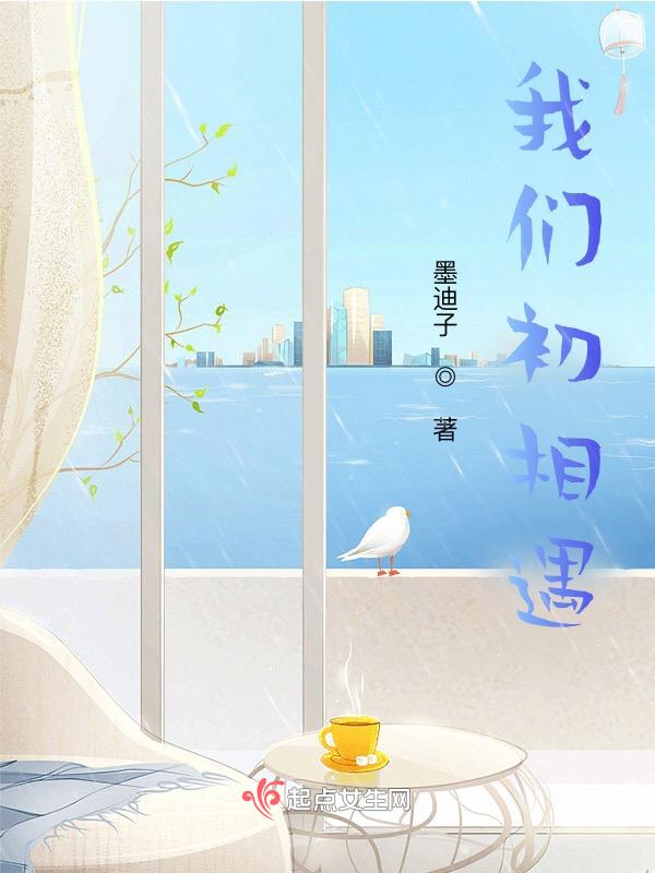 相遇 初识
