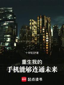 我的手机可能穿越了txt棉花糖