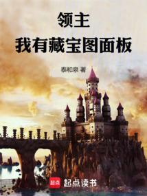 领主我有藏宝图面板无防盗