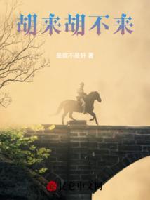 胡来什么意思
