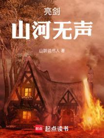 亮剑山河无声