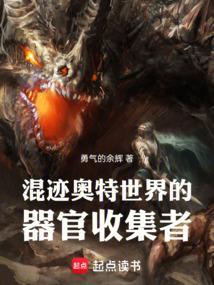 混迹奥特世界的器官收集者勇气的余辉