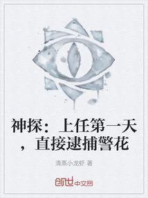 神探警察电视剧