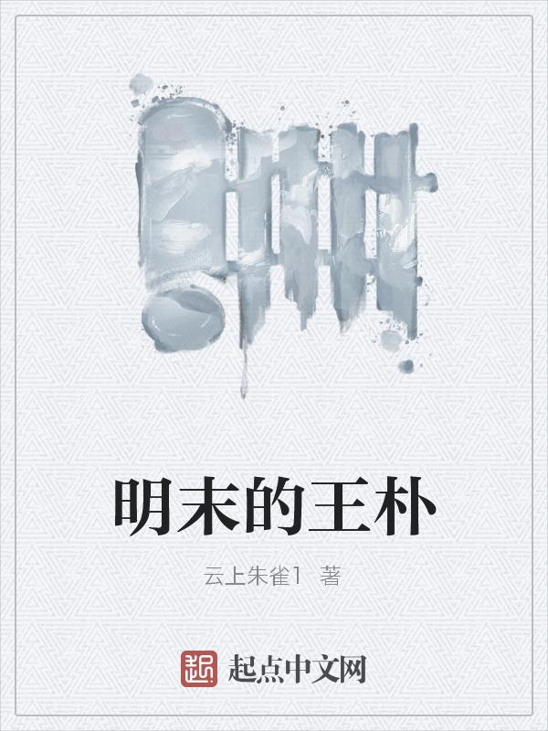 明末王朴铁血大明