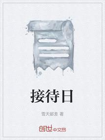 项目经理接待日