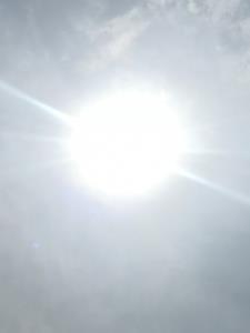 谢家皇后无弹窗全文免费阅读