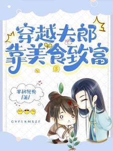 穿越小夫郎靠美食致富无删减