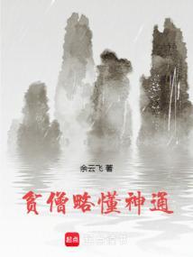贫僧是什么意思?