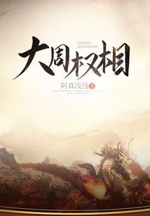 大周权相几个女主